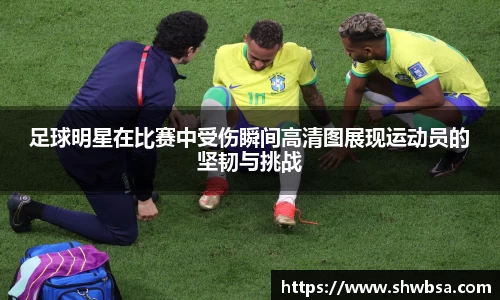 星空体育官网登录入口