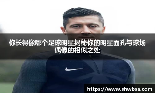 星空体育官网入口